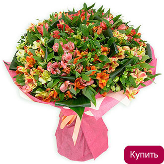 Букет Альстромерия