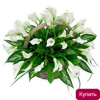 Цветочная корзина Белое озеро