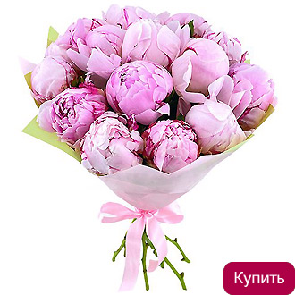 Розовые пионы Сара Бернар