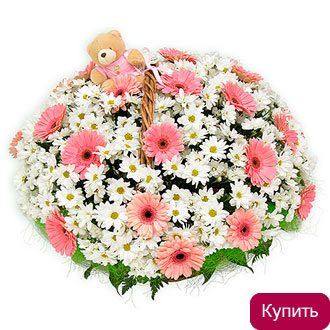 Хризантемы и герберы в корзине